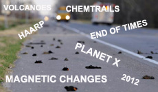 Bird deaths and the Doomsday scenario