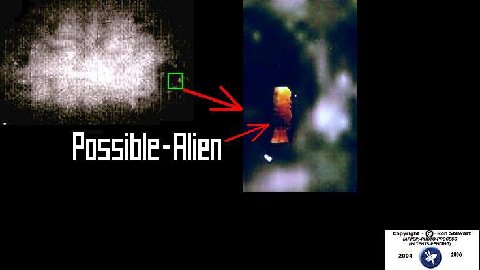 Possible Alien?