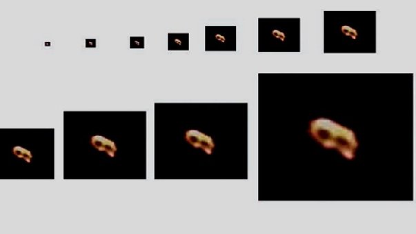 Grain of pepper enlarged using PPP