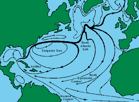Weakening of Gulf Stream will increase Hurricanes and their strength